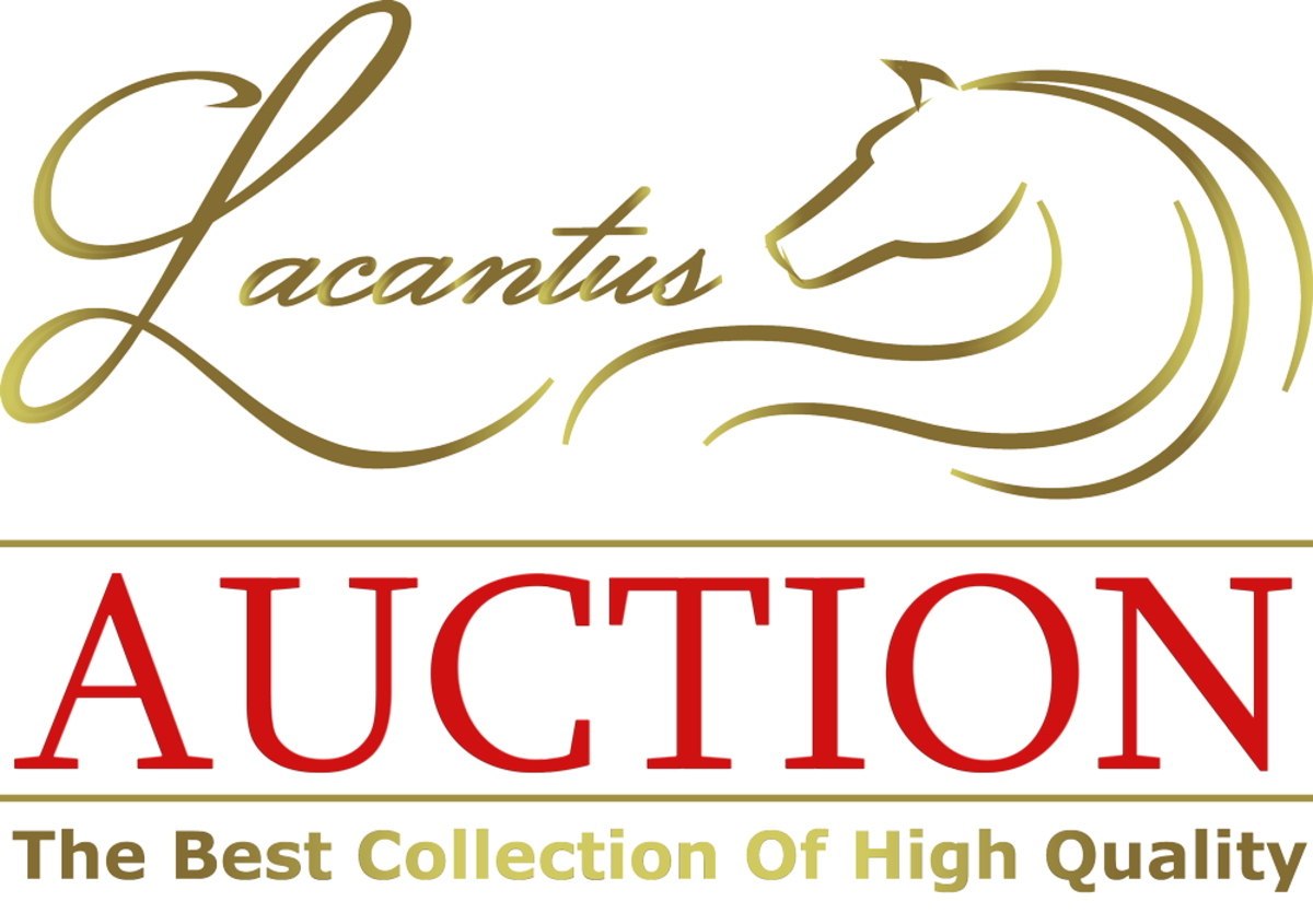 Lacantus Auction & Antique Store LLC