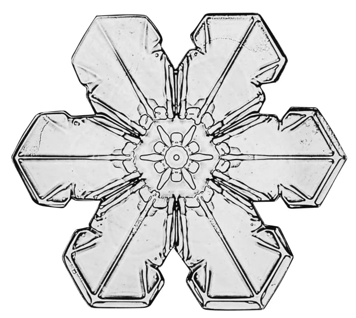 The snowflake above and the one below are two of 10 Bentley images, circa late 1880s-1920s, that sold as a set at Sotheby’s for $22,500.