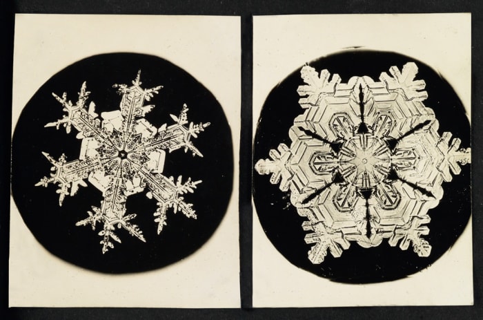 Two of a grouping of 25 snowflake images that sold at Swann for $52,000 in 2016. Gold-chloride toned microphotographs from glass plate negatives, each approximately 4” x 3”.