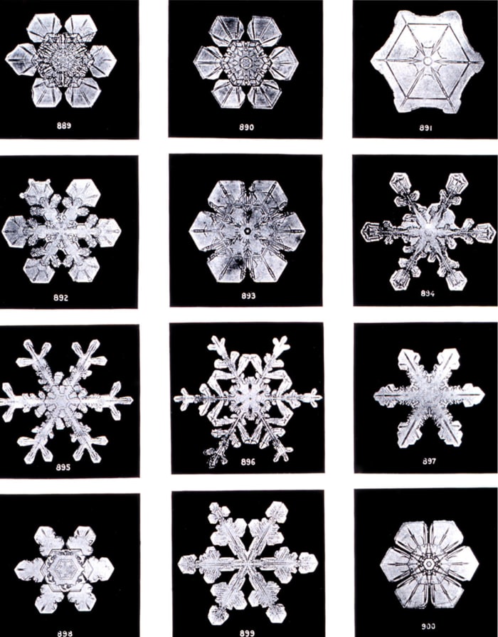 Various snowflake images captured by Bentley.