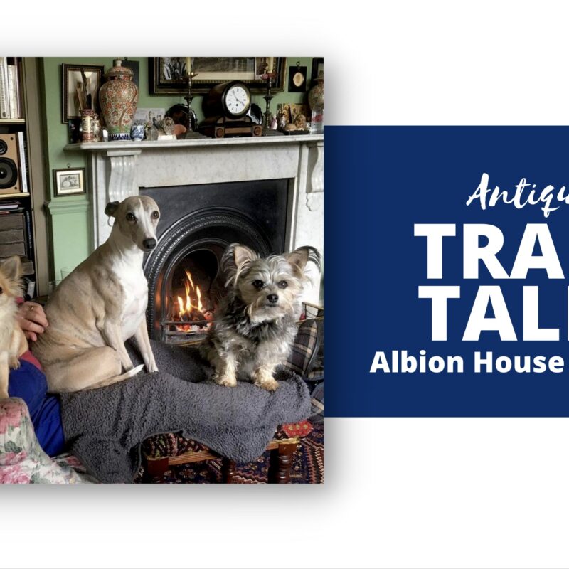 Antiques Trade Talks Albion House Antiques Antique Collecting