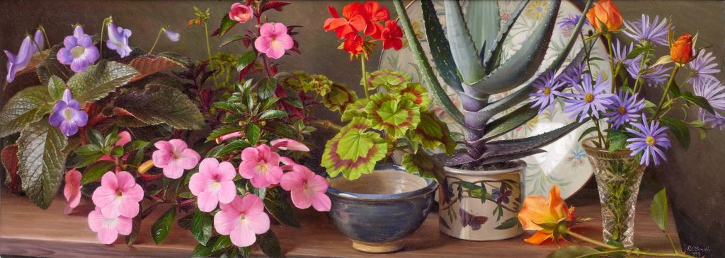 A shelf of plants by Raymond Booth