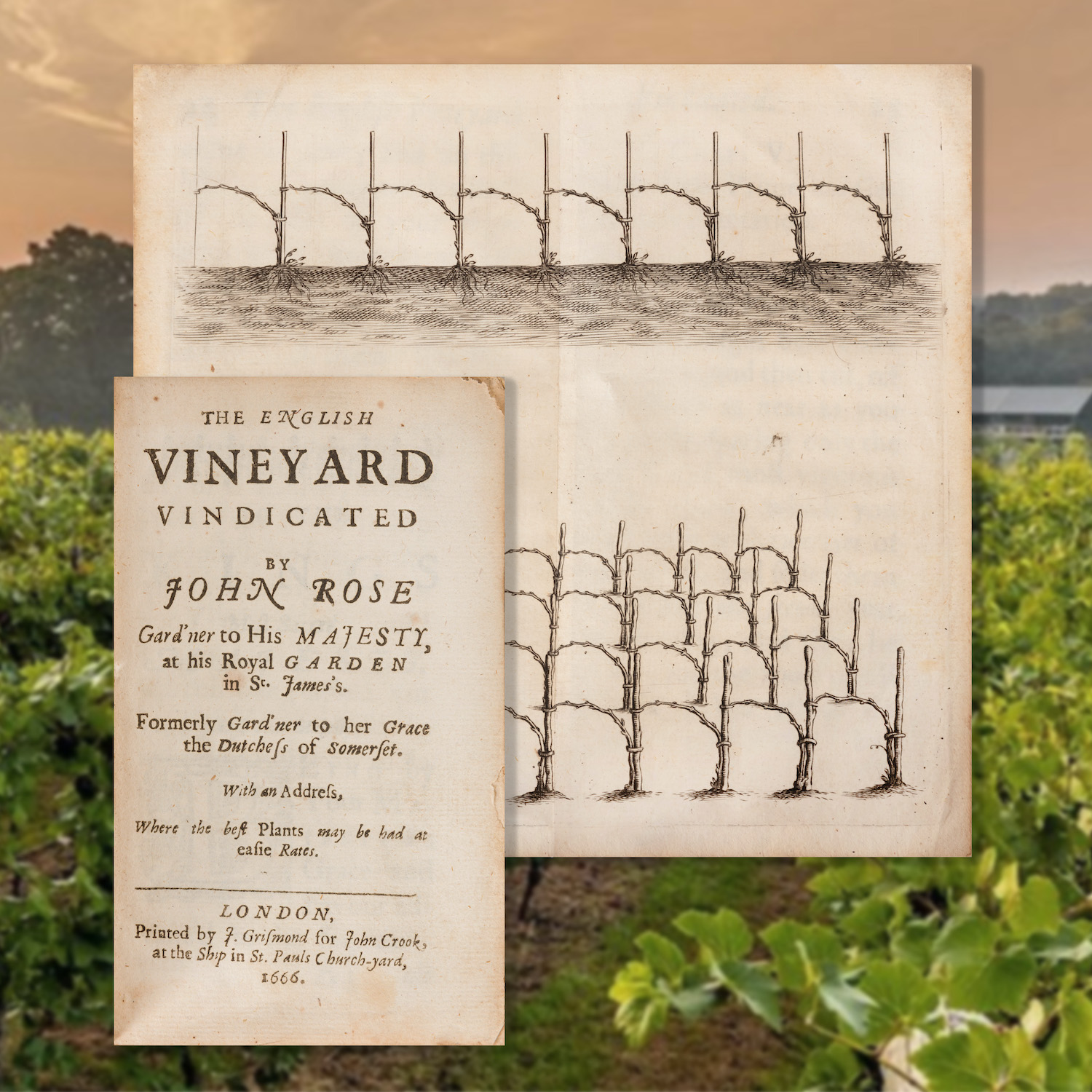 A surviving copies of 'The English Vineyard Vindicated', by John Evelyn and John Rose