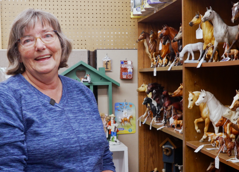 Collectors Like You: Robyn Whites, Collector of Breyer Horses