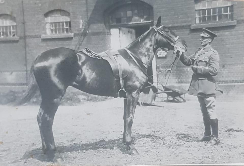 Col John Henry Barton, Royal Field Artillery in WWI with horse Sunset - Credit Christopher Greenhough