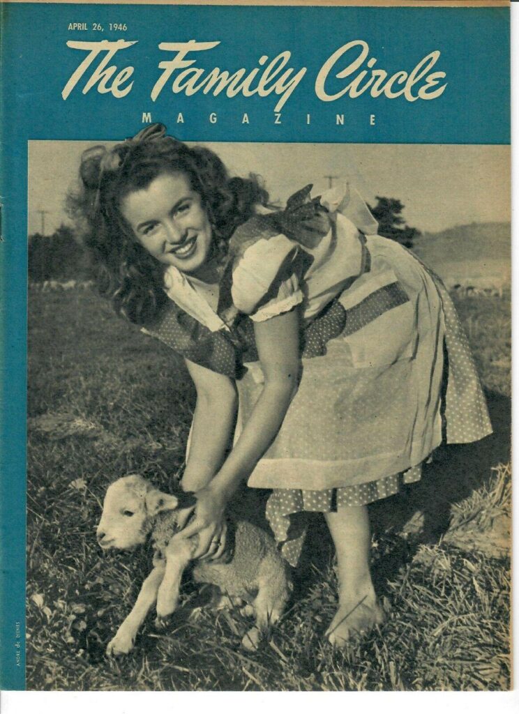 vintage magazine cover The Family Circle