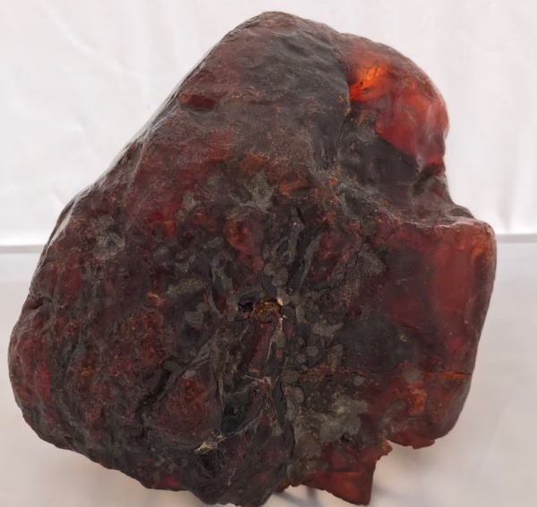 Great Discoveries: Amber Nugget Used as Doorstop, Valued at Over