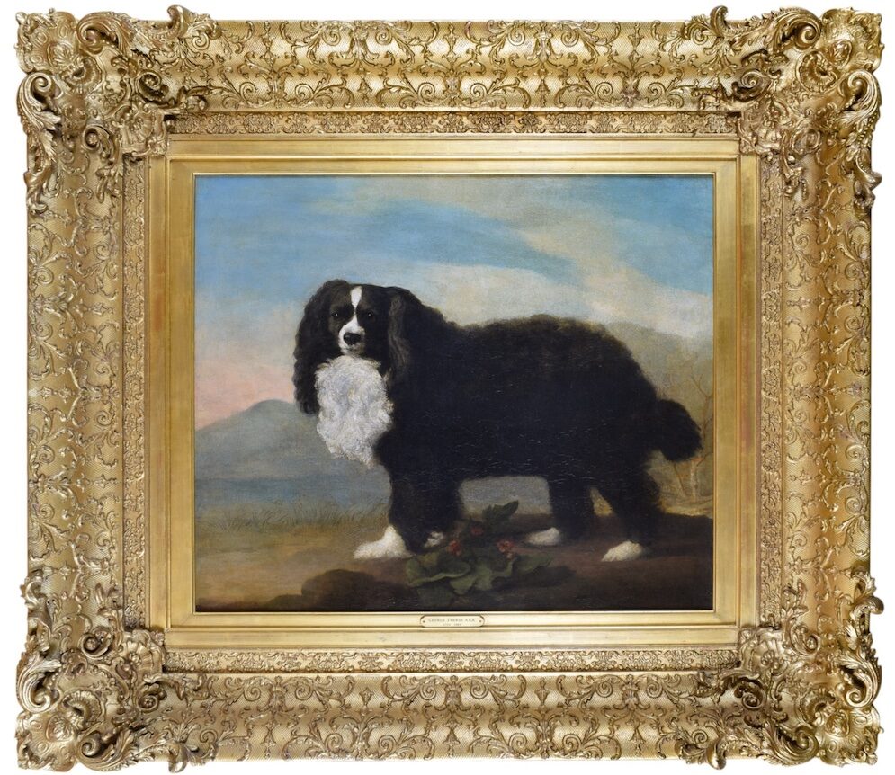 An oil portrait of a King Charles Spaniel by George Stubbs