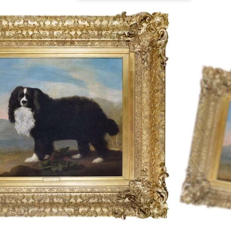 George Stubbs spaniel is 'best in show' Antique Collecting