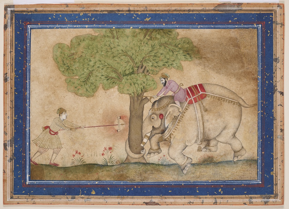 AN ENRAGED ELEPHANT, PROVINCIAL MUGHAL, BIKANER OR DECCAN, 18TH CENTURY