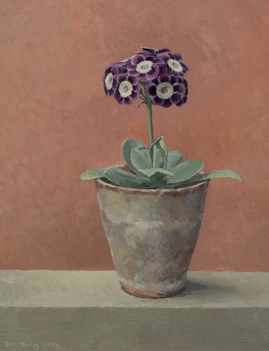 A painting of a flower in pot by John Morley